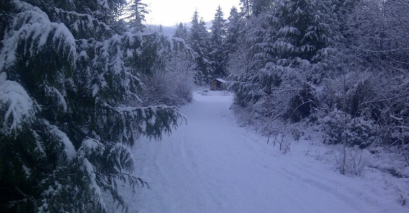 Snowy road